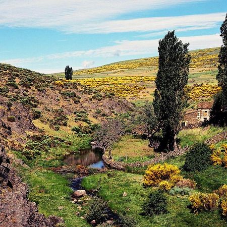 Casa Rural La Vereilla Barajas de Gredos Екстериор снимка