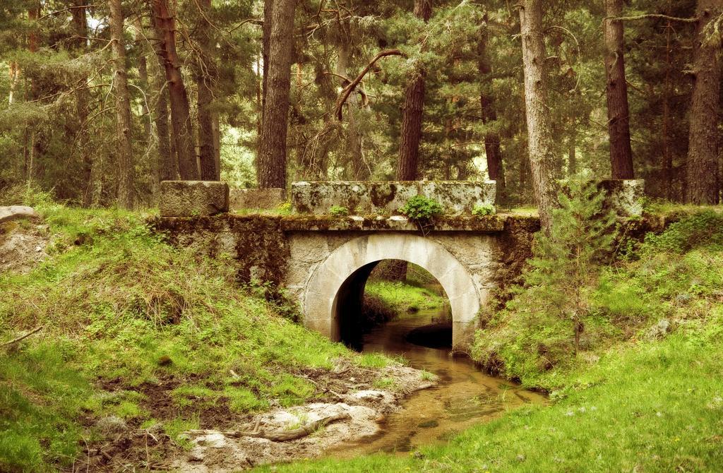 Casa Rural La Vereilla Barajas de Gredos Екстериор снимка