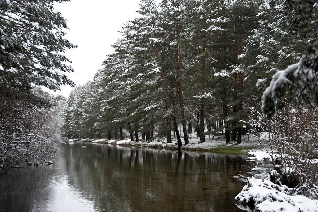 Casa Rural La Vereilla Barajas de Gredos Екстериор снимка