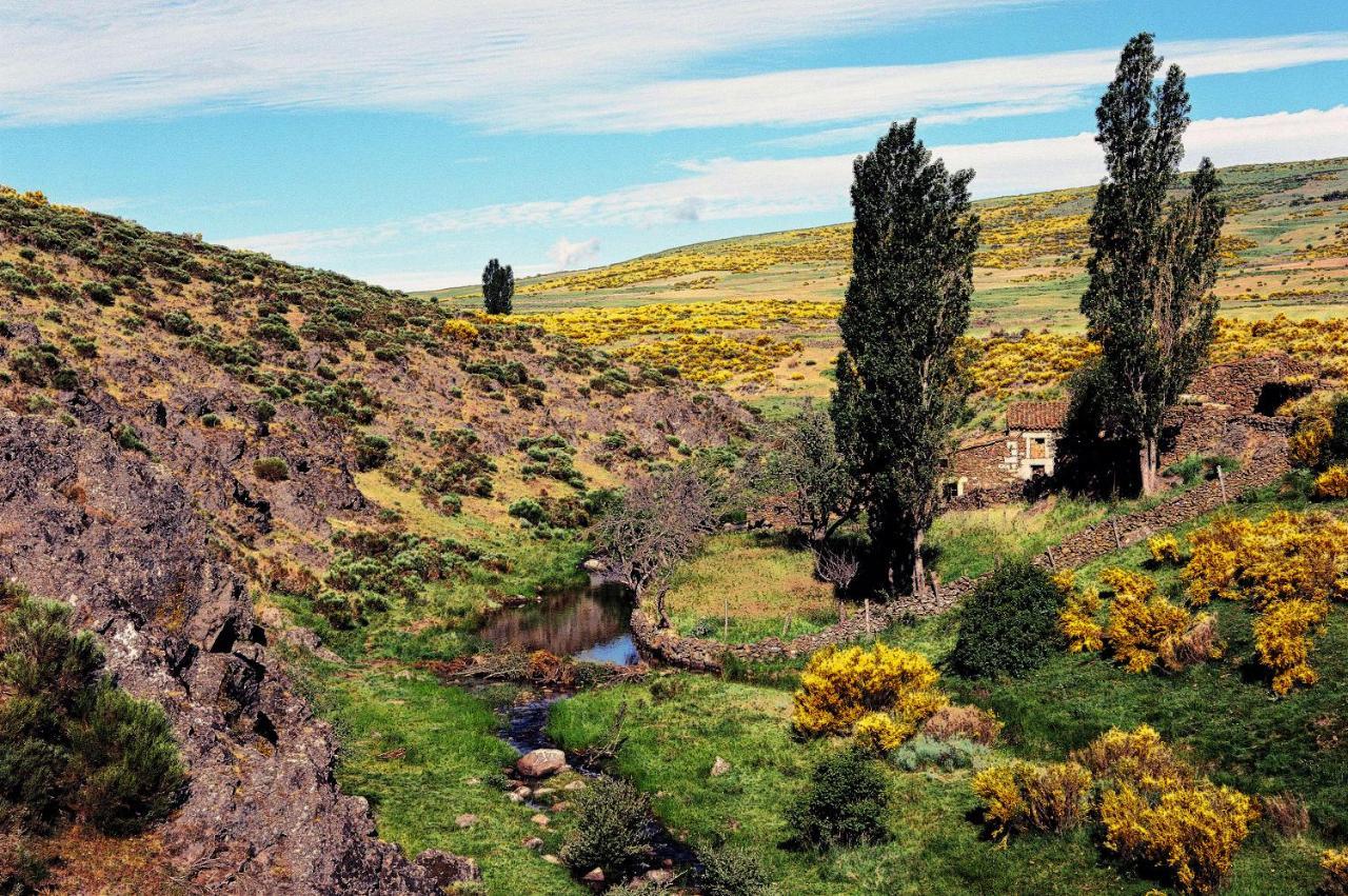 Casa Rural La Vereilla Barajas de Gredos Екстериор снимка